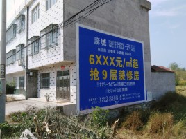三江墙体广告质量分析