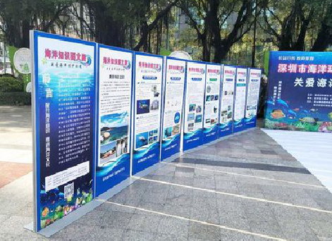 三江KT板的种类和知识。